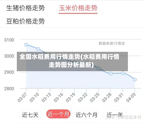 全国水稻费用行情走势(水稻费用行情走势图分析最新)