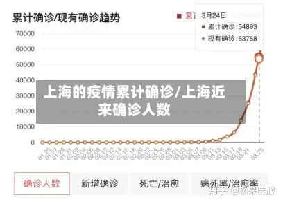 上海的疫情累计确诊/上海近来确诊人数