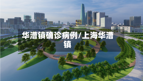 华漕镇确诊病例/上海华漕镇