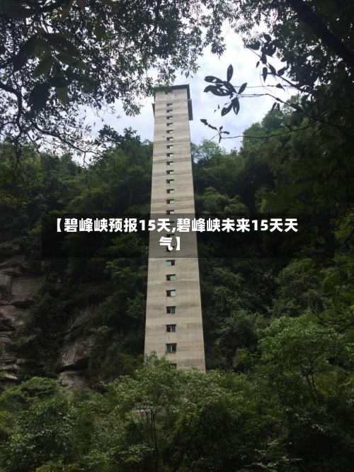 【碧峰峡预报15天,碧峰峡未来15天天气】