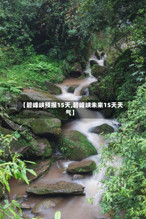 【碧峰峡预报15天,碧峰峡未来15天天气】