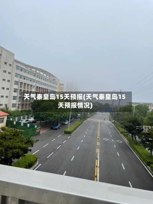 天气秦皇岛15天预报(天气秦皇岛15天预报情况)