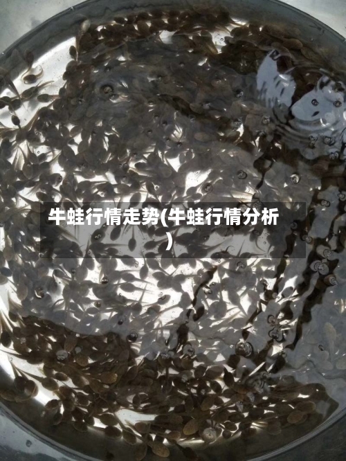牛蛙行情走势(牛蛙行情分析)