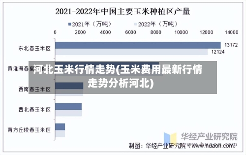 河北玉米行情走势(玉米费用最新行情走势分析河北)