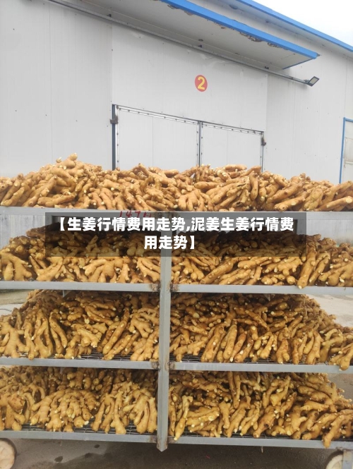 【生姜行情费用走势,泥姜生姜行情费用走势】