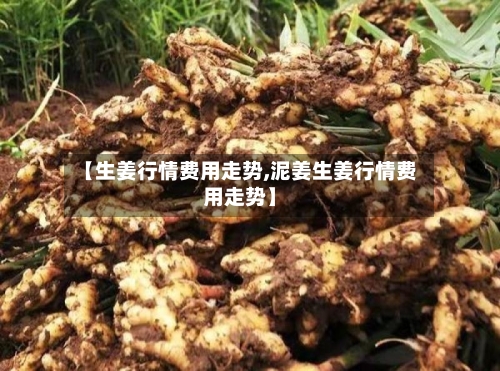【生姜行情费用走势,泥姜生姜行情费用走势】