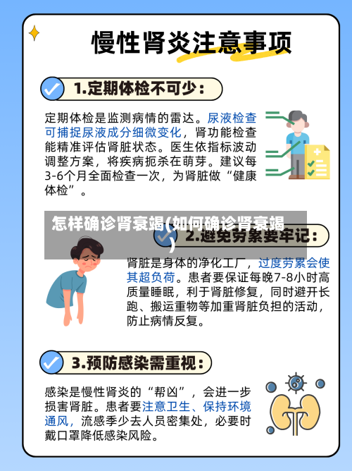 怎样确诊肾衰竭(如何确诊肾衰竭)