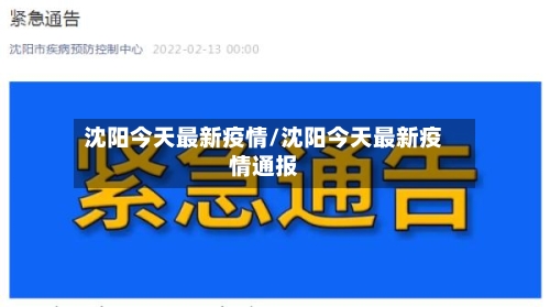 沈阳今天最新疫情/沈阳今天最新疫情通报