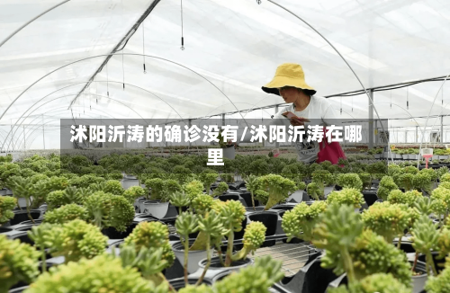 沭阳沂涛的确诊没有/沭阳沂涛在哪里