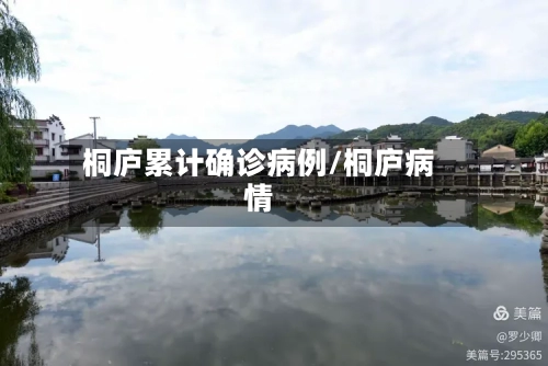 桐庐累计确诊病例/桐庐病情