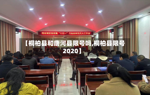 【桐柏县和唐河县限号吗,桐柏县限号2020】