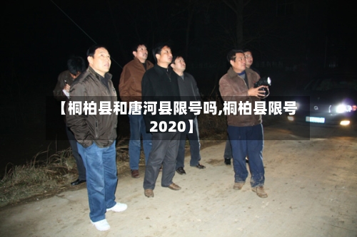 【桐柏县和唐河县限号吗,桐柏县限号2020】