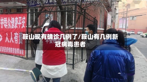 鞍山现有确诊几例了/鞍山有几例新冠病毒患者