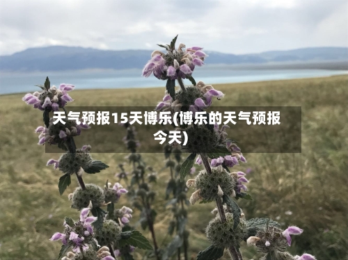 天气预报15天博乐(博乐的天气预报今天)