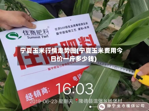 宁夏玉米行情走势图(宁夏玉米费用今日价一斤多少钱)