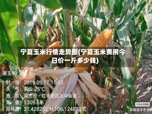 宁夏玉米行情走势图(宁夏玉米费用今日价一斤多少钱)