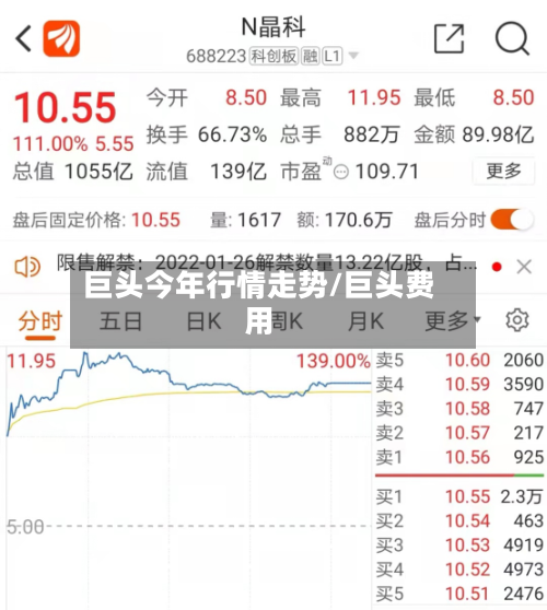 巨头今年行情走势/巨头费用
