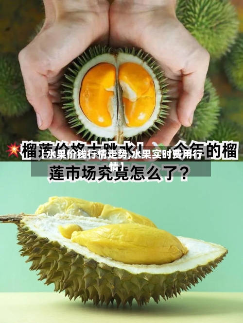【水果价钱行情走势,水果实时费用行情】