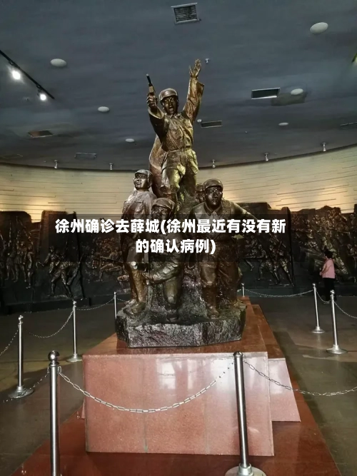 徐州确诊去薛城(徐州最近有没有新的确认病例)