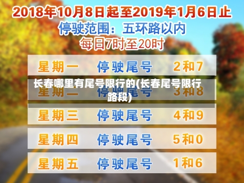 长春哪里有尾号限行的(长春尾号限行路段)