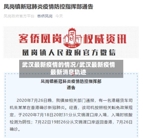 武汉最新疫情的情况/武汉最新疫情最新消息轨迹