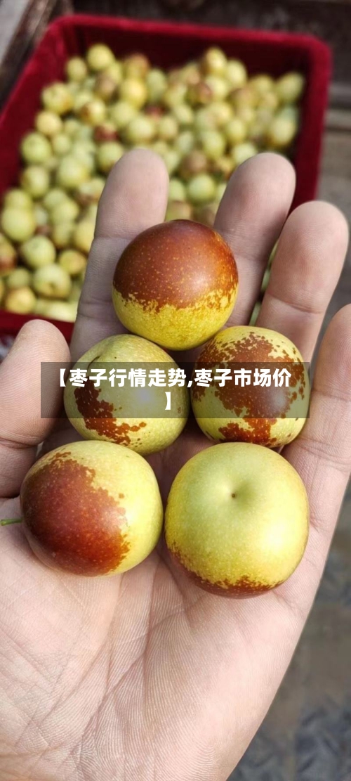 【枣子行情走势,枣子市场价】