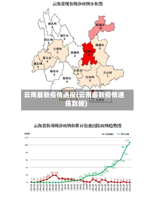 云南最新疫情通报(云南最新疫情通报数据)