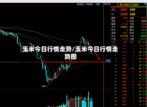 玉米今日行情走势/玉米今日行情走势图