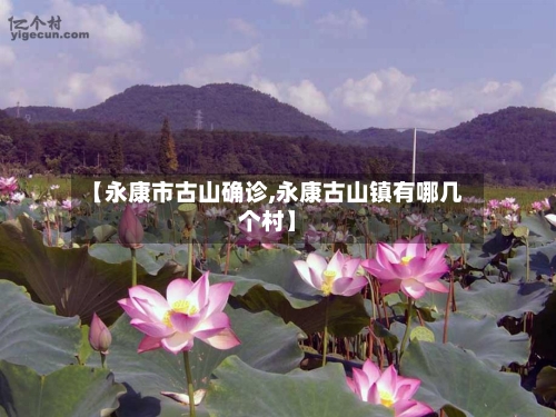 【永康市古山确诊,永康古山镇有哪几个村】