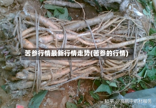 苦参行情最新行情走势(苦参的行情)