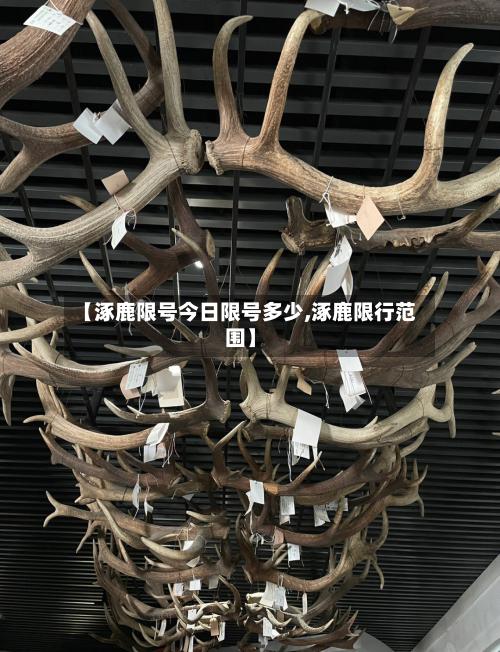 【涿鹿限号今日限号多少,涿鹿限行范围】