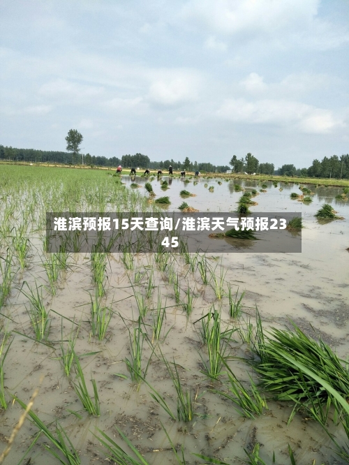 淮滨预报15天查询/淮滨天气预报2345
