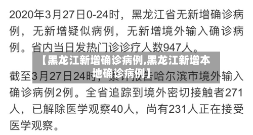 【黑龙江新增确诊病例,黑龙江新增本地确诊病例】