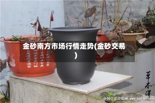 金砂南方市场行情走势(金砂交易)