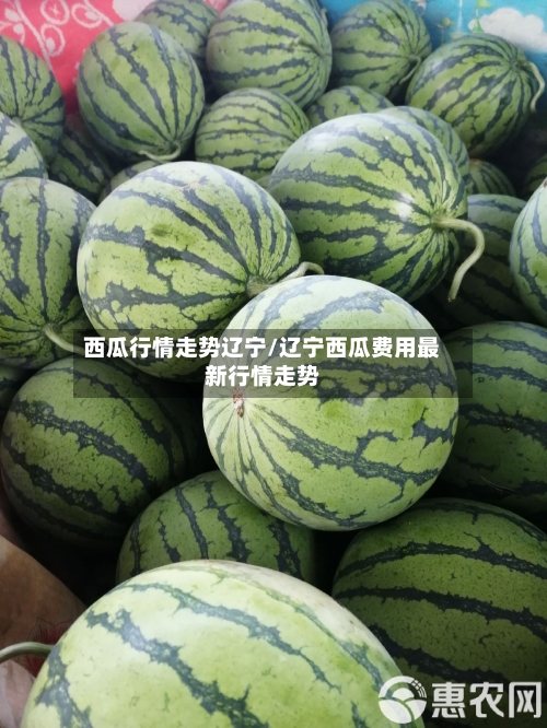 西瓜行情走势辽宁/辽宁西瓜费用最新行情走势