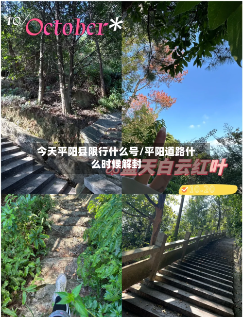今天平阳县限行什么号/平阳道路什么时候解封
