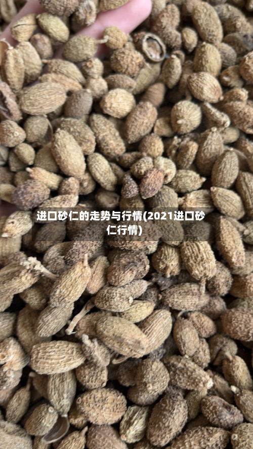 进口砂仁的走势与行情(2021进口砂仁行情)