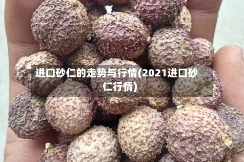 进口砂仁的走势与行情(2021进口砂仁行情)