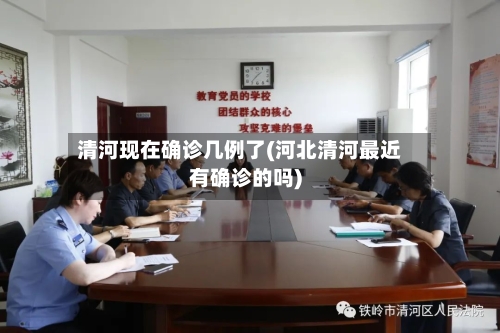 清河现在确诊几例了(河北清河最近有确诊的吗)