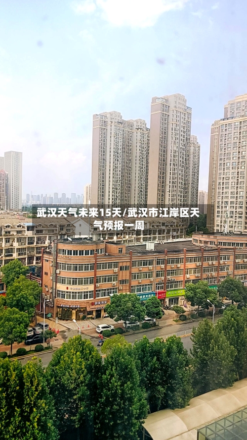 武汉天气未来15天/武汉市江岸区天气预报一周