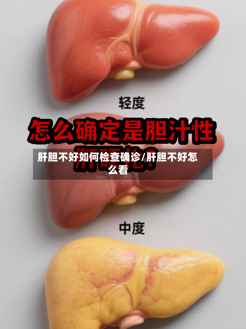 肝胆不好如何检查确诊/肝胆不好怎么看