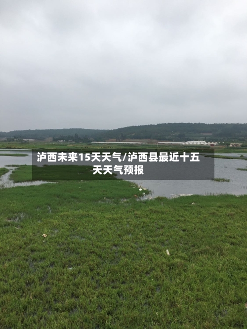 泸西未来15天天气/泸西县最近十五天天气预报