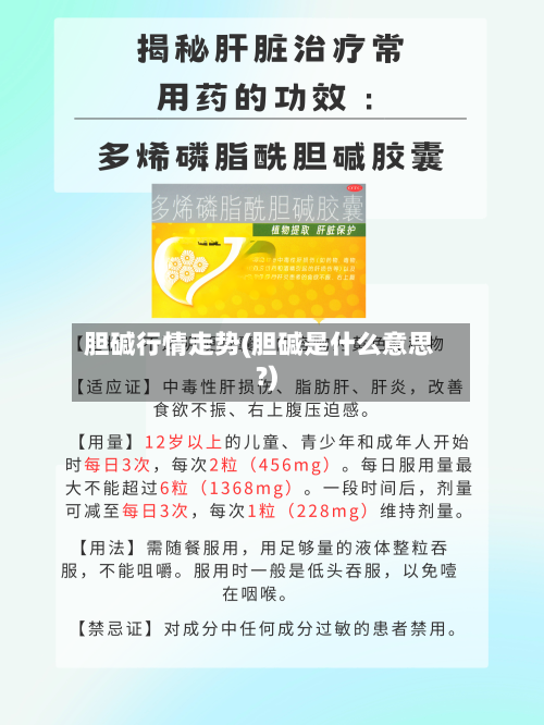 胆碱行情走势(胆碱是什么意思?)