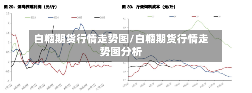 白糖期货行情走势图/白糖期货行情走势图分析