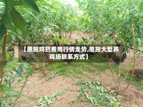【恩施鸡药费用行情走势,恩施大型养鸡场联系方式】