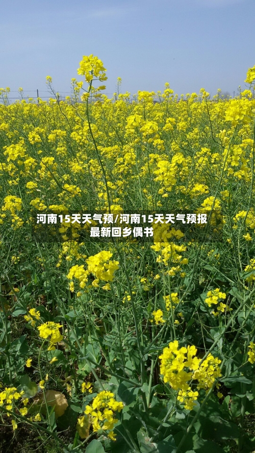 河南15天天气预/河南15天天气预报最新回乡偶书