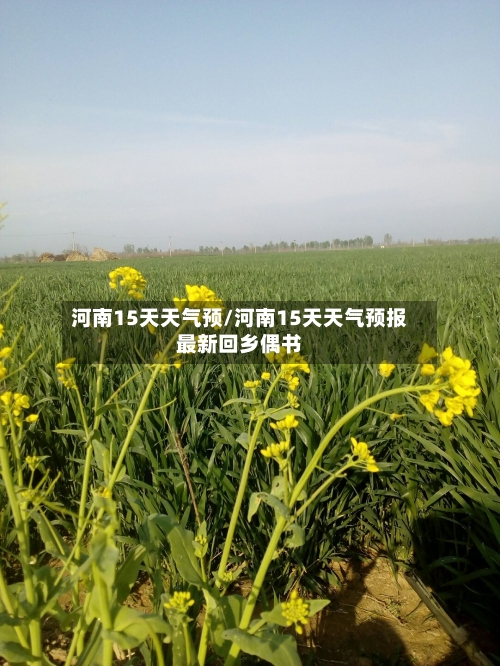 河南15天天气预/河南15天天气预报最新回乡偶书