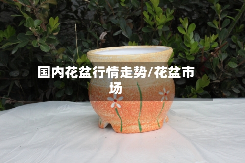国内花盆行情走势/花盆市场