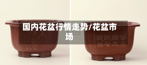国内花盆行情走势/花盆市场