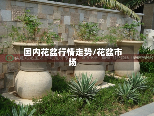 国内花盆行情走势/花盆市场